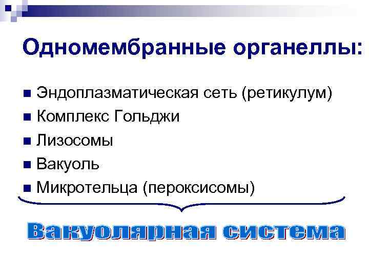 Одномембранные органеллы: n Эндоплазматическая сеть (ретикулум) n Комплекс Гольджи n Лизосомы n Вакуоль n