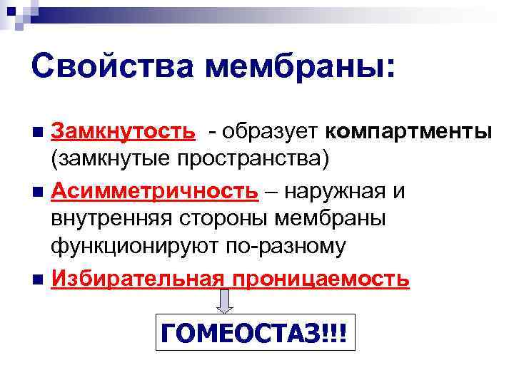 Свойства мембраны: n Замкнутость - образует компартменты (замкнутые пространства) n Асимметричность – наружная и