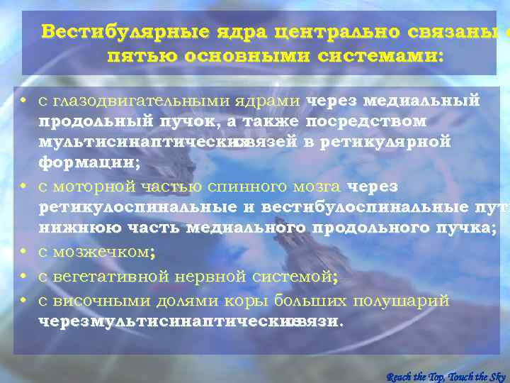  Вестибулярные ядра центрально связаны с  пятью основными системами:  • с глазодвигательными