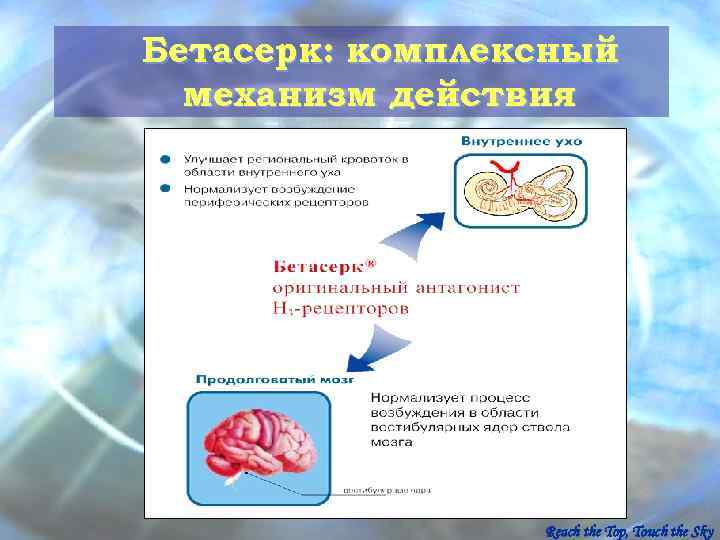 Бетасерк: комплексный  механизм действия     Reach the Top, Touch the