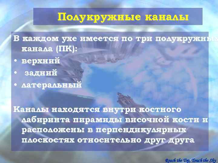   Полукружные каналы В каждом ухе имеется по три полукружных  канала (ПК):