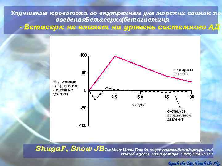 Улучшение кровотока во внутреннем ухе морских свинок пос  введения. Бетасерка(бетагистина)  - Бетасерк