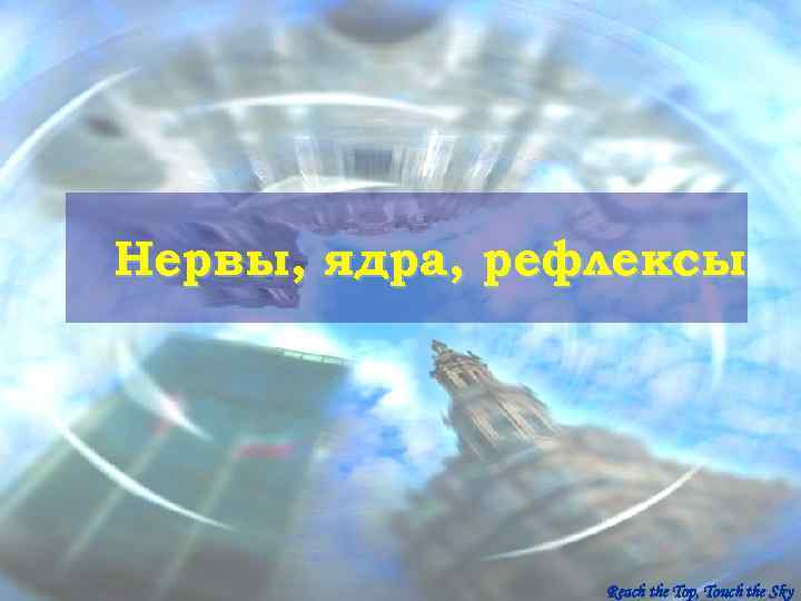 Нервы, ядра, рефлексы     Reach the Top, Touch the Sky 