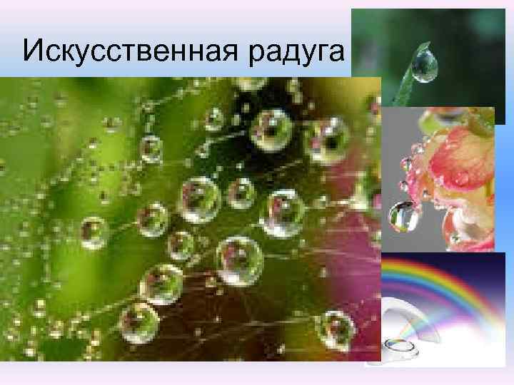  Искусственная радуга Радугу можно наблюдать и с помощью водяной капли. Посадите каплю воды