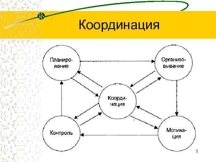 Координация 23 