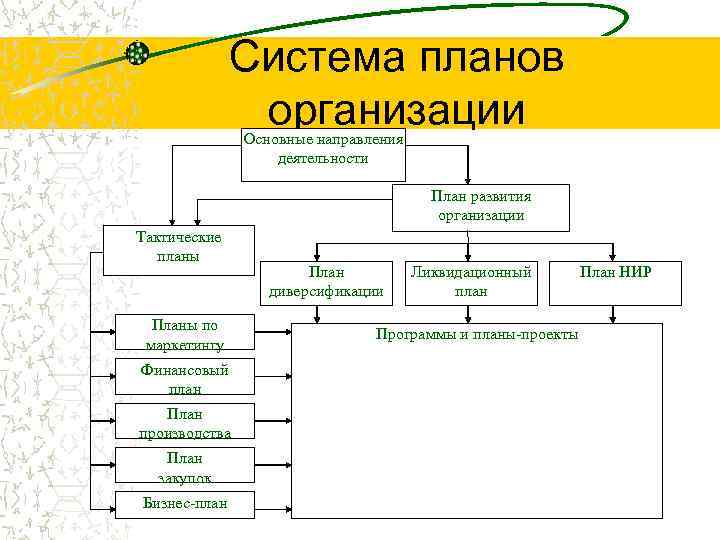  Система планов организации Основные направления деятельности План развития организации Тактические планы План Ликвидационный