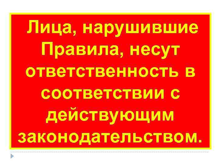  Лица, нарушившие Правила, несут  ответственность в  соответствии с действующим законодательством. 
