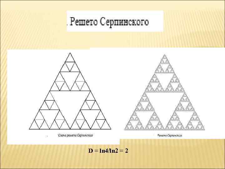 D = ln 4/ln 2 = 2 