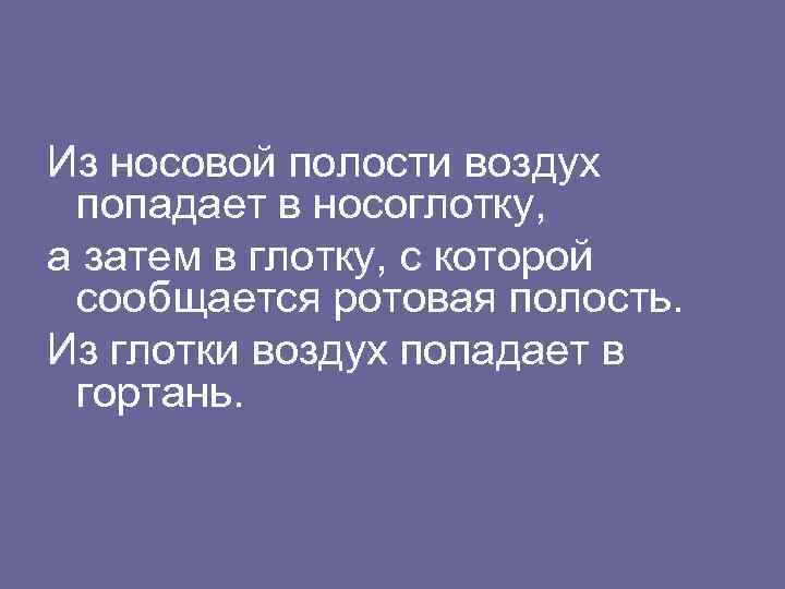 Из носовой полости воздух попадает в носоглотку, а затем в глотку, с которой сообщается