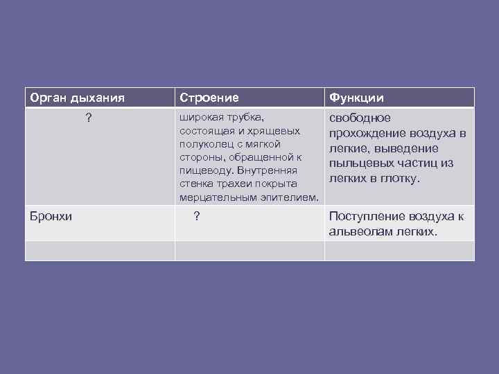 Орган дыхания  Строение   Функции   ?  широкая трубка, 