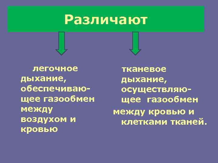   Различают легочное  тканевое дыхание, обеспечиваю- осуществляю- щее газообмен между кровью и