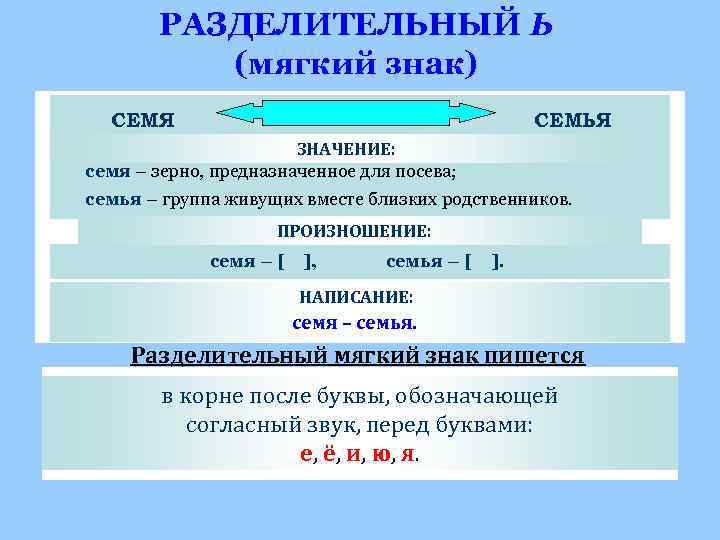  РАЗДЕЛИТЕЛЬНЫЙ Ь (мягкий знак) СЕМЯ СЕМЬЯ ЗНАЧЕНИЕ: семя – зерно, предназначенное для посева;