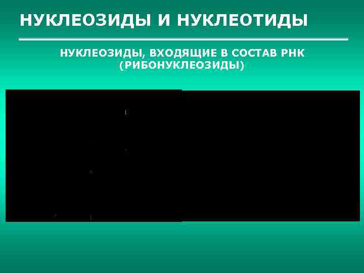 НУКЛЕОЗИДЫ И НУКЛЕОТИДЫ НУКЛЕОЗИДЫ, ВХОДЯЩИЕ В СОСТАВ РНК (РИБОНУКЛЕОЗИДЫ) 