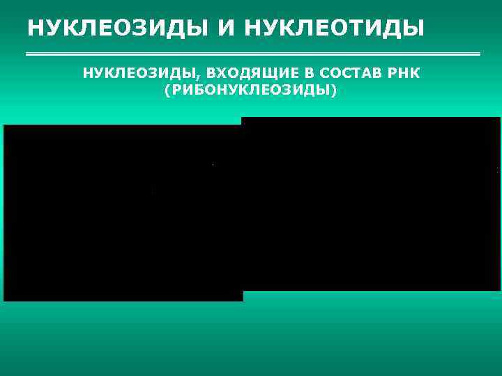 НУКЛЕОЗИДЫ И НУКЛЕОТИДЫ НУКЛЕОЗИДЫ, ВХОДЯЩИЕ В СОСТАВ РНК (РИБОНУКЛЕОЗИДЫ) 