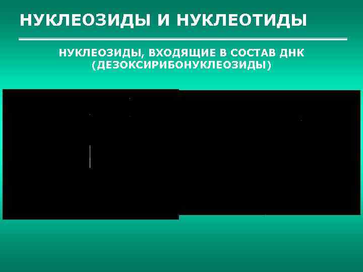 НУКЛЕОЗИДЫ И НУКЛЕОТИДЫ НУКЛЕОЗИДЫ, ВХОДЯЩИЕ В СОСТАВ ДНК (ДЕЗОКСИРИБОНУКЛЕОЗИДЫ) 