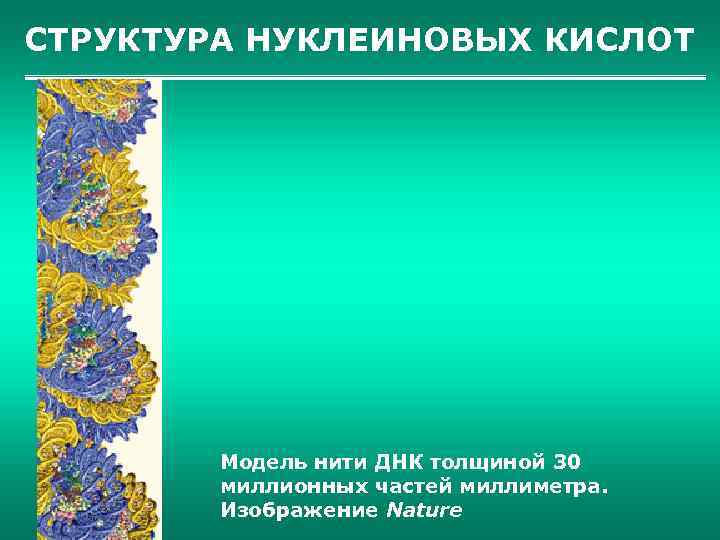 СТРУКТУРА НУКЛЕИНОВЫХ КИСЛОТ Модель нити ДНК толщиной 30 миллионных частей миллиметра. Изображение Nature 