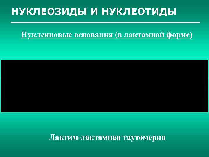 НУКЛЕОЗИДЫ И НУКЛЕОТИДЫ Нуклеиновые основания (в лактамной форме) Лактим-лактамная таутомерия 