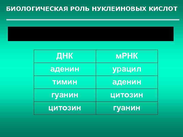 БИОЛОГИЧЕСКАЯ РОЛЬ НУКЛЕИНОВЫХ КИСЛОТ ДНК м. РНК аденин урацил тимин аденин гуанин цитозин гуанин