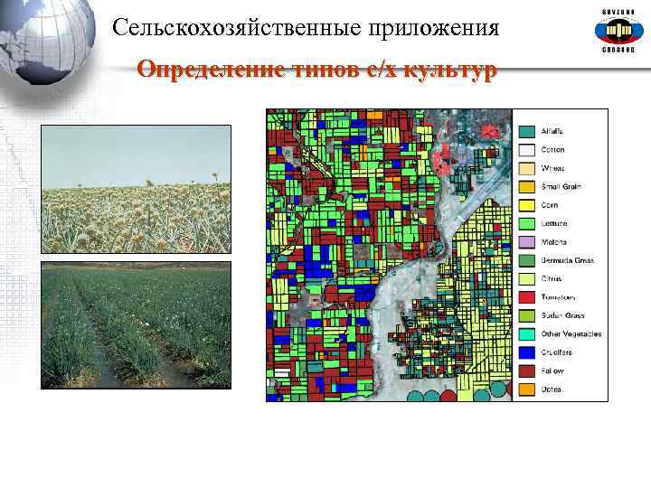 Сельскохозяйственные приложения Определение типов с/х культур 