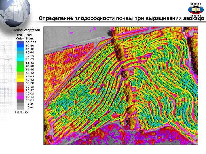 Определение плодородности почвы при выращивании авокадо 