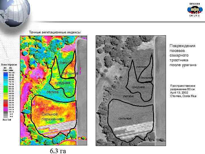  Loss Adjustment and Audit Точные вегетационные индексы Повреждения посевов сахарного тростника легкое после