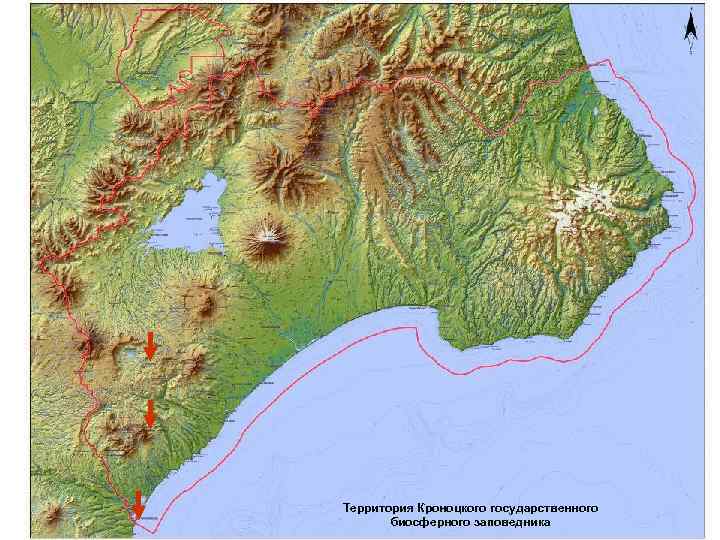 Территория Кроноцкого государственного биосферного заповедника 