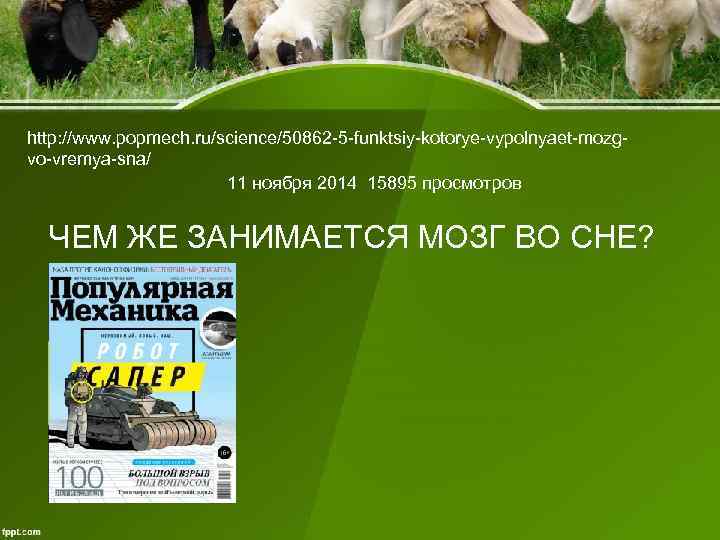 http: //www. popmech. ru/science/50862 -5 -funktsiy-kotorye-vypolnyaet-mozg- vo-vremya-sna/ 11 ноября 2014 15895 http: //www. popmech. ru/science/50862 -5 -funktsiy-kotorye-vypolnyaet-mozg- vo-vremya-sna/ 11 ноября 2014 15895