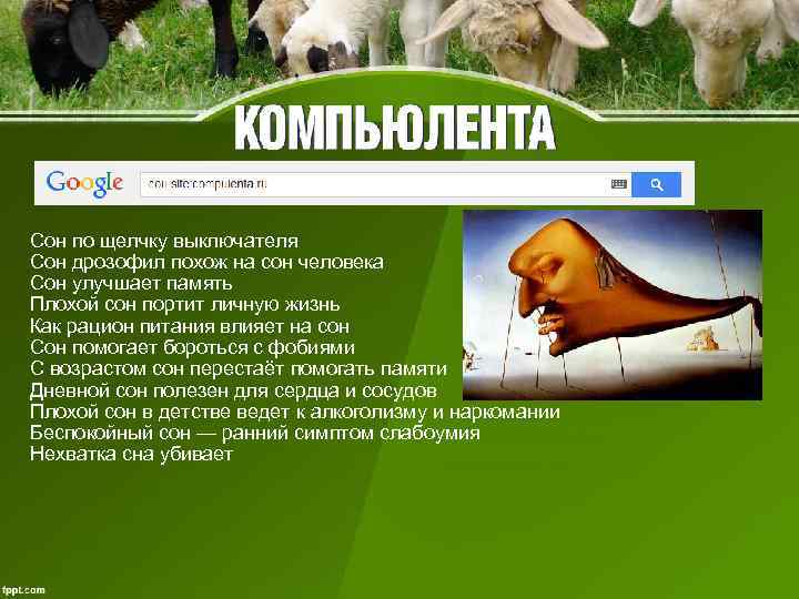 Сон по щелчку выключателя Сон дрозофил похож на сон человека Сон улучшает память Плохой Сон по щелчку выключателя Сон дрозофил похож на сон человека Сон улучшает память Плохой