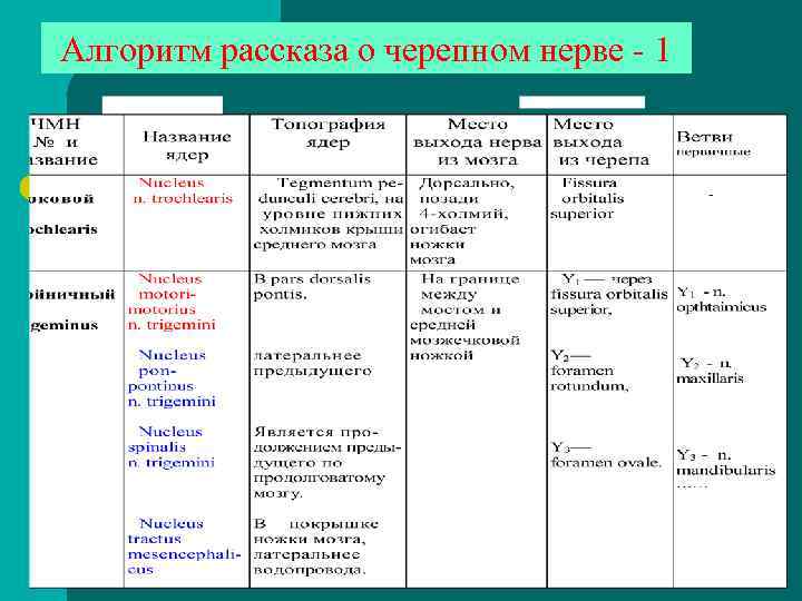 Алгоритм рассказа о черепном нерве - 1 IY Y Алгоритм рассказа о черепном нерве - 1 IY Y