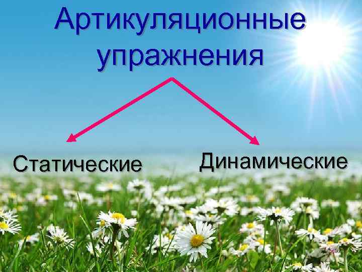   Артикуляционные  упражнения  Статические  Динамические 
