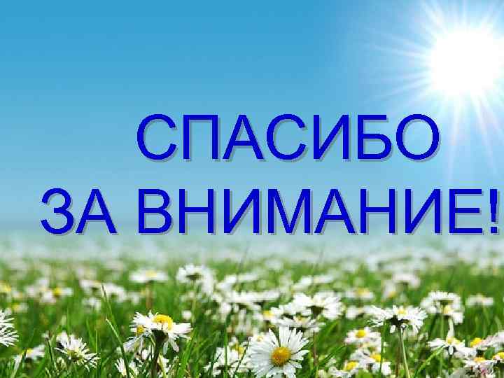   СПАСИБО ЗА ВНИМАНИЕ!! ЗА ВНИМАНИЕ! 