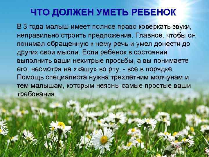  ЧТО ДОЛЖЕН УМЕТЬ РЕБЕНОК В 3 года малыш имеет полное право коверкать звуки,