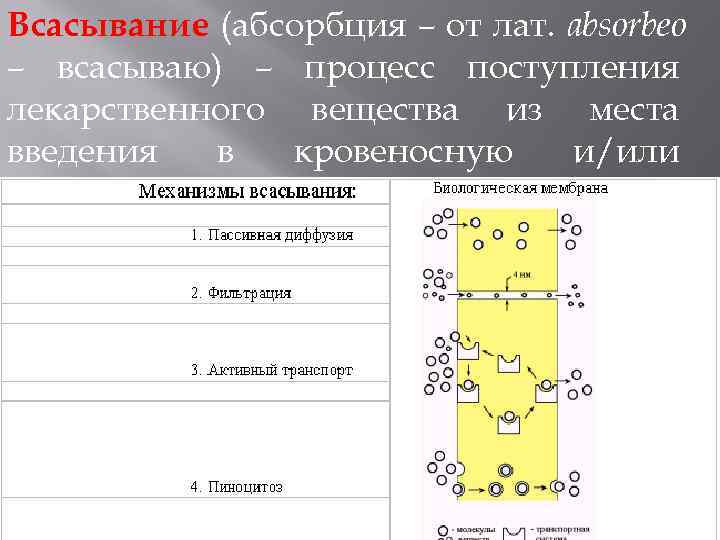 Всасывание (абсорбция – от лат. absorbeo – всасываю) – процесс поступления лекарственного вещества из