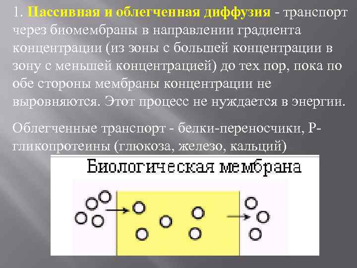 1. Пассивная и облегченная диффузия - транспорт через биомембраны в направлении градиента концентрации (из