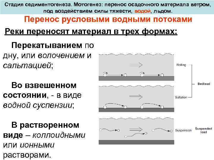 Стадия седиментогенеза. Мотогенез: перенос осадочного материала ветром, под воздействием силы тяжести, водой, льдом. Перенос