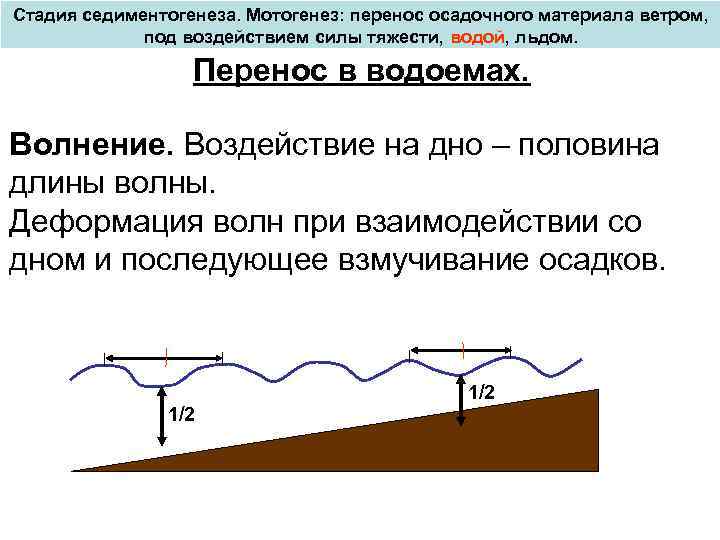 Стадия седиментогенеза. Мотогенез: перенос осадочного материала ветром, под воздействием силы тяжести, водой, льдом. Перенос