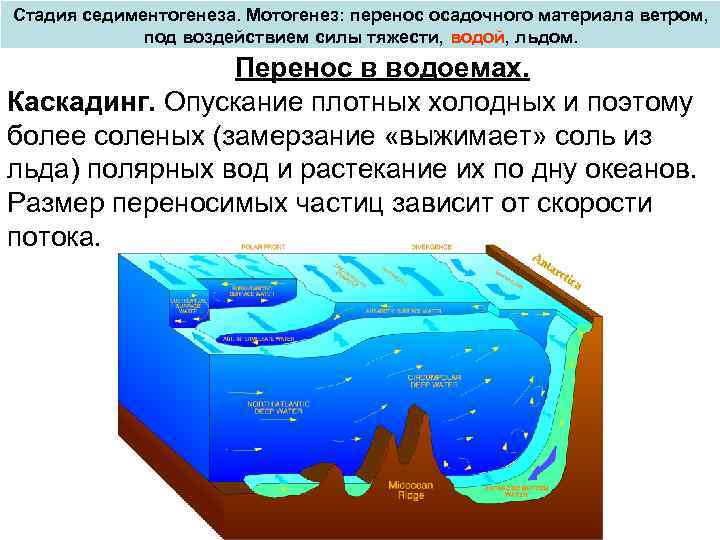 Стадия седиментогенеза. Мотогенез: перенос осадочного материала ветром, под воздействием силы тяжести, водой, льдом. Перенос