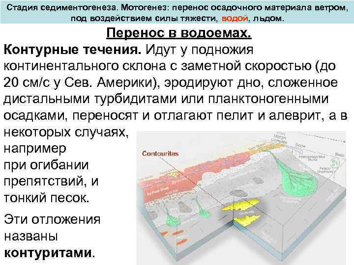 Стадия седиментогенеза. Мотогенез: перенос осадочного материала ветром, под воздействием силы тяжести, водой, льдом. Перенос