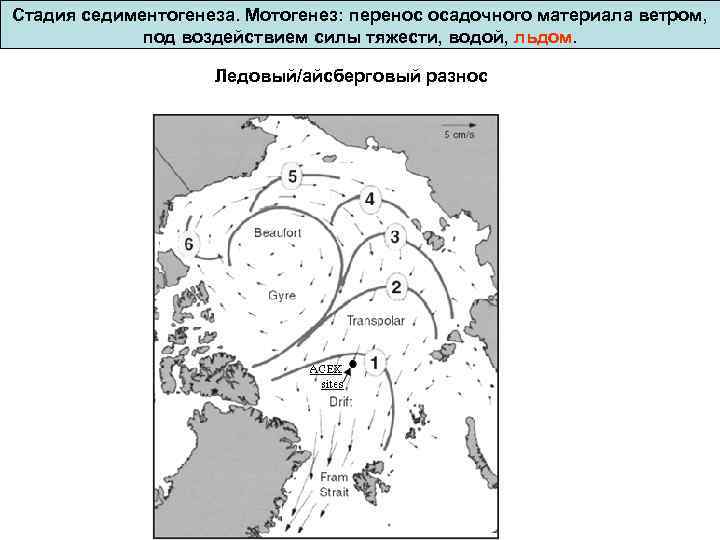 Стадия седиментогенеза. Мотогенез: перенос осадочного материала ветром, под воздействием силы тяжести, водой, льдом. Ледовый/айсберговый