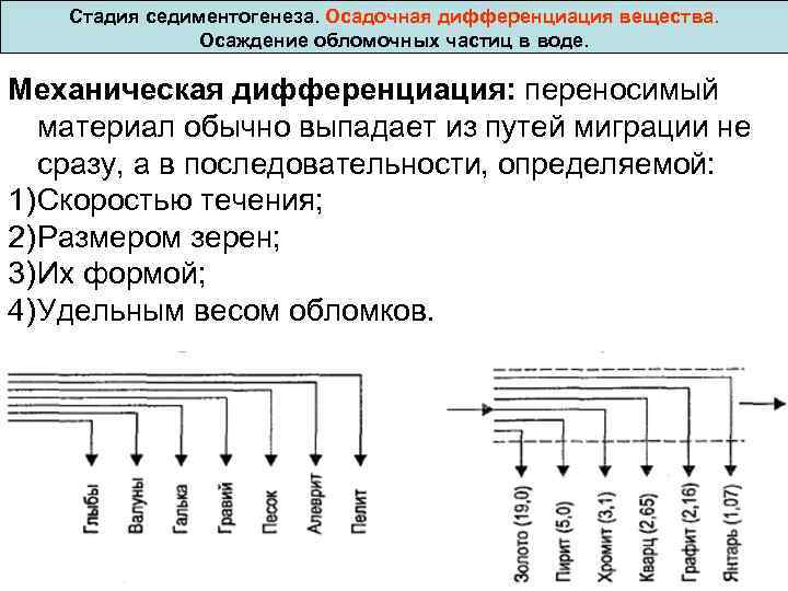  Стадия седиментогенеза. Осадочная дифференциация вещества. Осаждение обломочных частиц в воде. Механическая дифференциация: переносимый