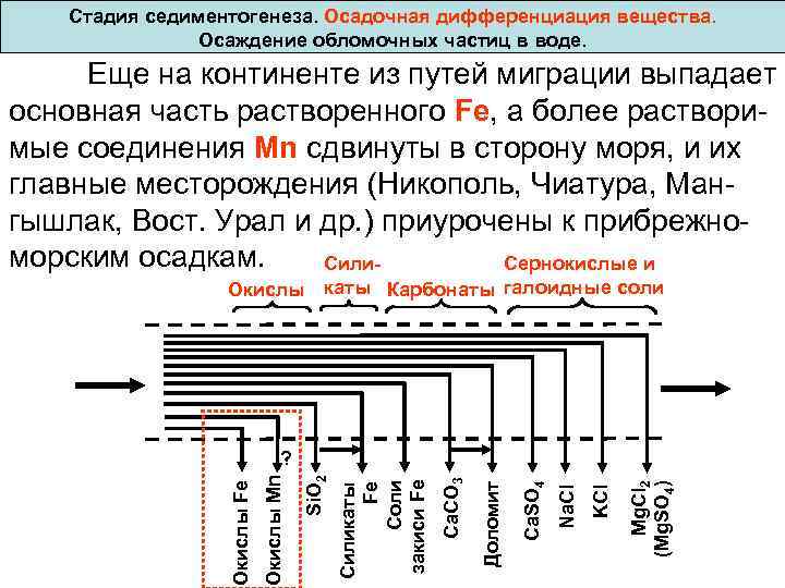  Стадия седиментогенеза. Осадочная дифференциация вещества. Осаждение обломочных частиц в воде. Еще на континенте