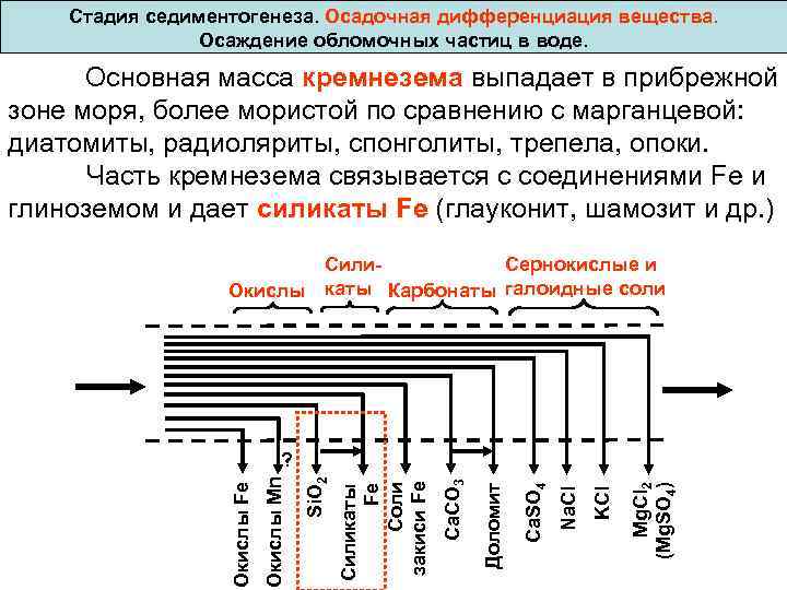  Стадия седиментогенеза. Осадочная дифференциация вещества. Осаждение обломочных частиц в воде. Основная масса кремнезема