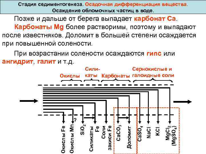  Стадия седиментогенеза. Осадочная дифференциация вещества. Осаждение обломочных частиц в воде. Позже и дальше