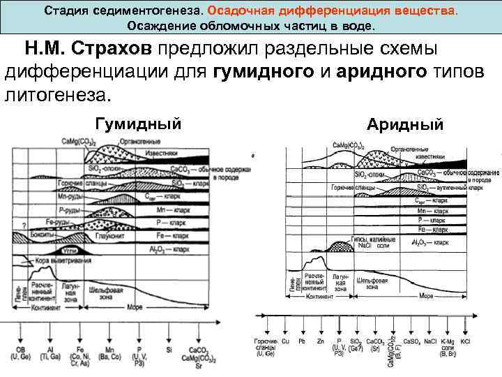  Стадия седиментогенеза. Осадочная дифференциация вещества. Осаждение обломочных частиц в воде. Н. М. Страхов