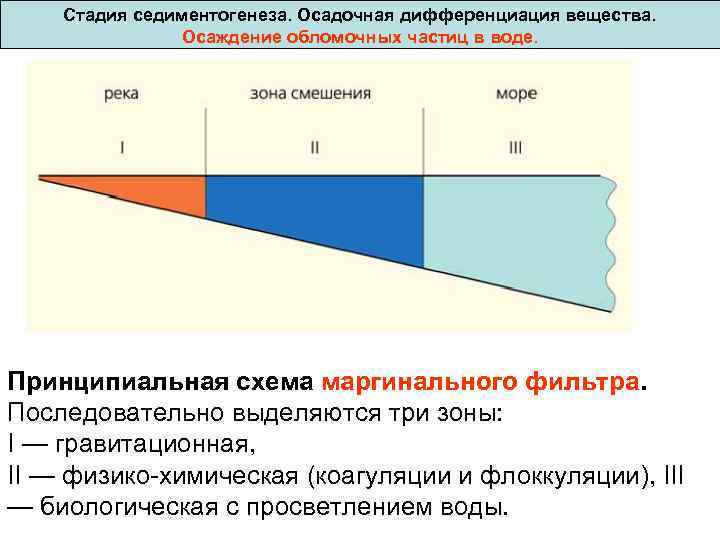  Стадия седиментогенеза. Осадочная дифференциация вещества. Осаждение обломочных частиц в воде. Принципиальная схема маргинального