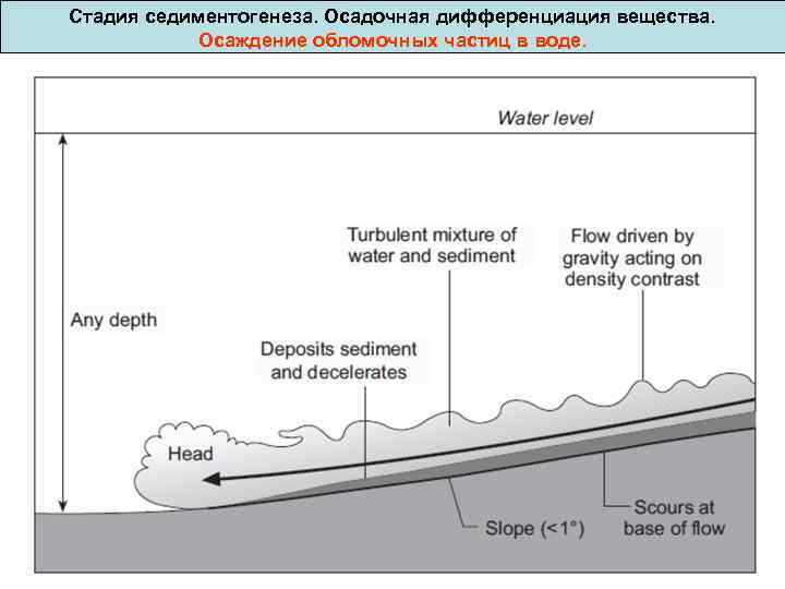 Стадия седиментогенеза. Осадочная дифференциация вещества. Осаждение обломочных частиц в воде. 