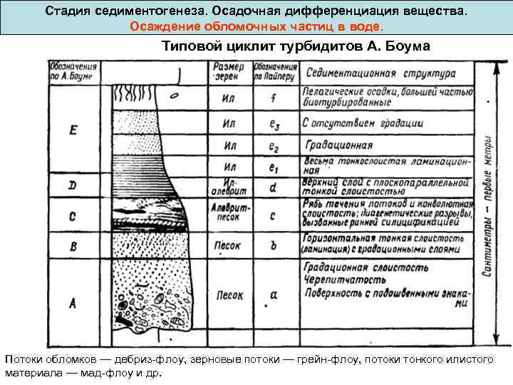  Стадия седиментогенеза. Осадочная дифференциация вещества. Осаждение обломочных частиц в воде. Типовой циклит турбидитов