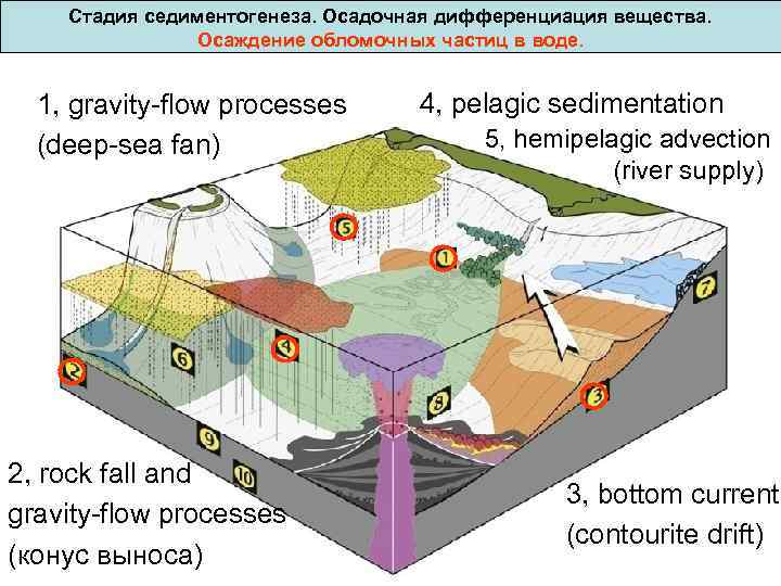  Стадия седиментогенеза. Осадочная дифференциация вещества. Осаждение обломочных частиц в воде. 1, gravity-flow processes