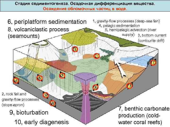  Стадия седиментогенеза. Осадочная дифференциация вещества. Осаждение обломочных частиц в воде. 6, periplatform sedimentation