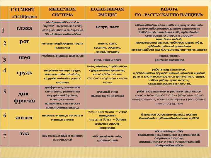   СЕГМЕНТ   МЫШЕЧНАЯ   ПОДАВЛЯЕМАЯ     